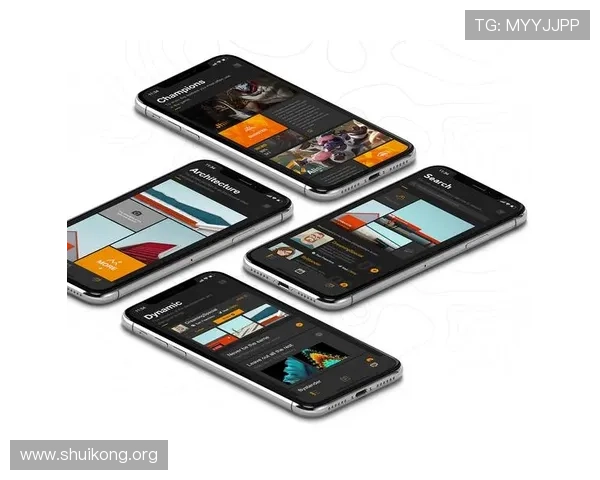 王子娱乐平台：手机端与PC端操作指南与使用技巧