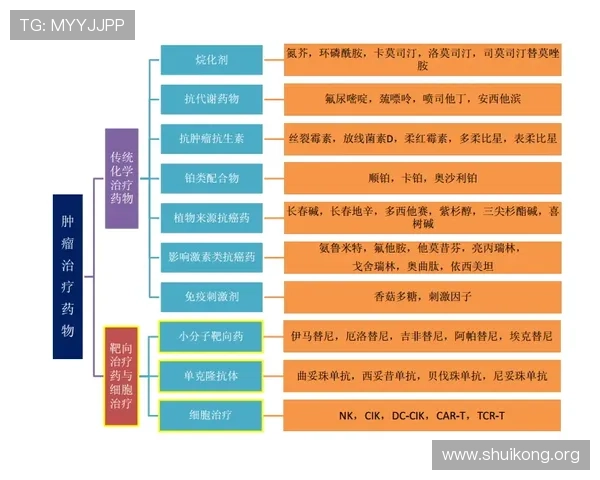 bg真人怎么看走势：用户关注点与行业动态全方位解读指南